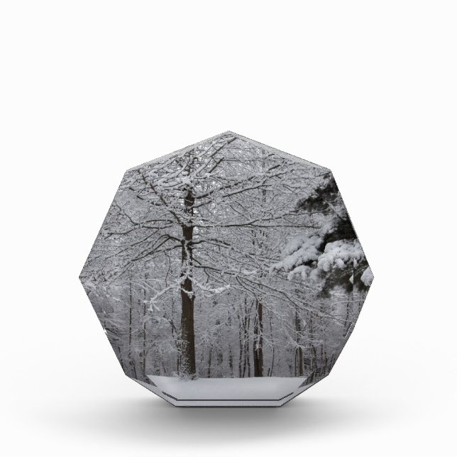 Woods View Award (Front)