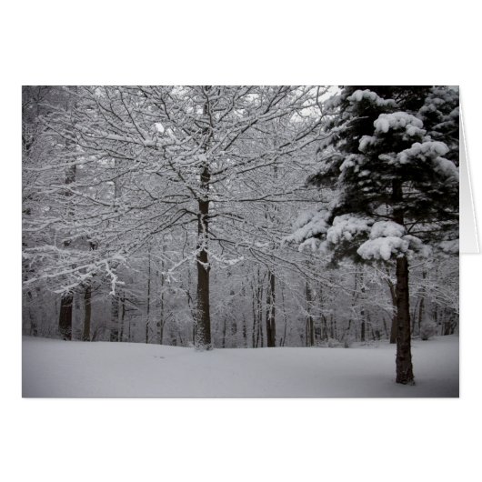 Woods View Cards (Front Horizontal)