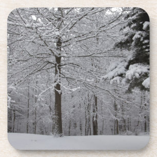 Woods View Drink Coaster