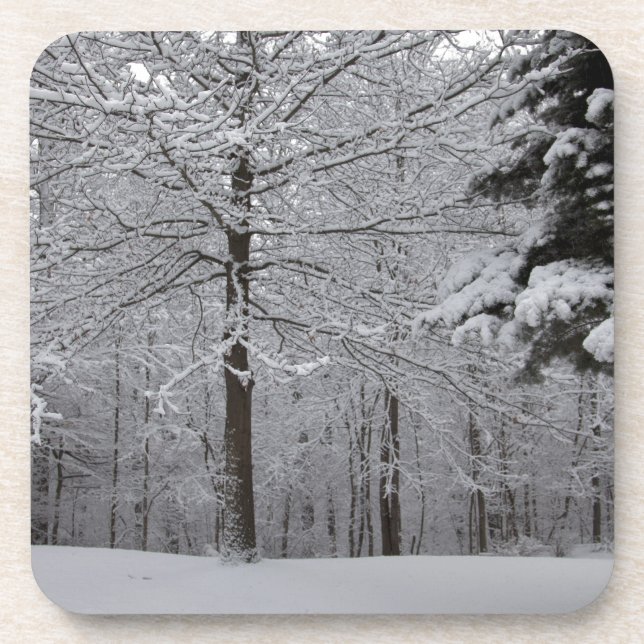 Woods View Drink Coaster (Front)