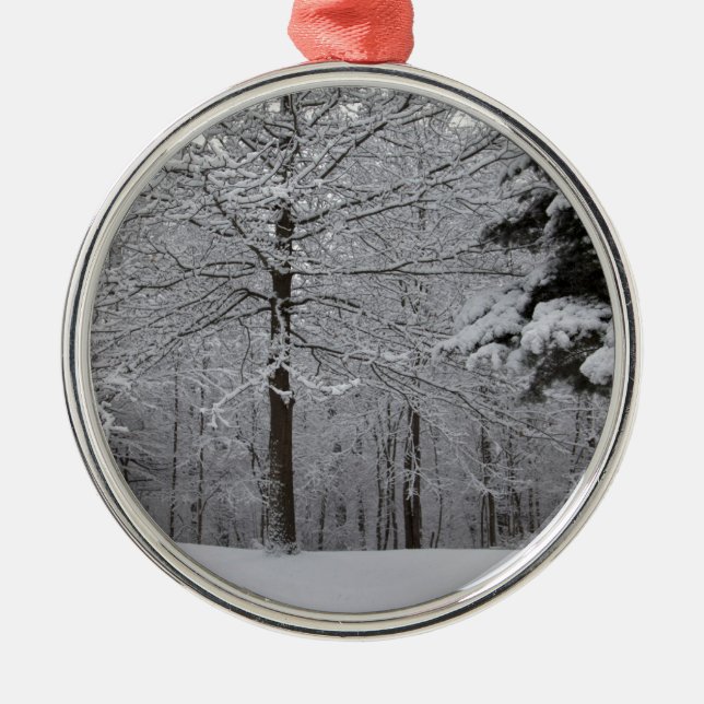 Woods View Metal Ornament (Front)