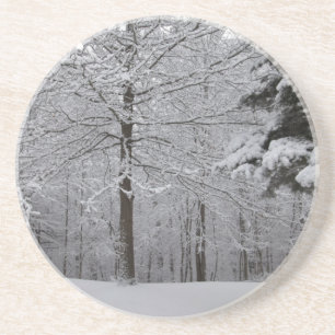 Woods View Sandstone Coaster