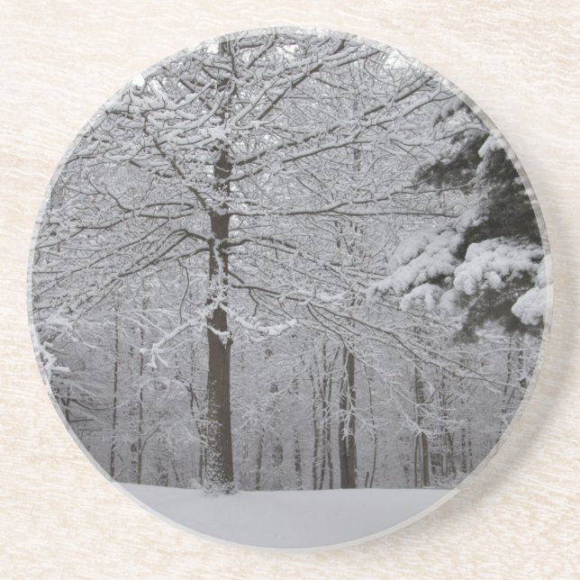 Woods View Sandstone Coaster (Front)