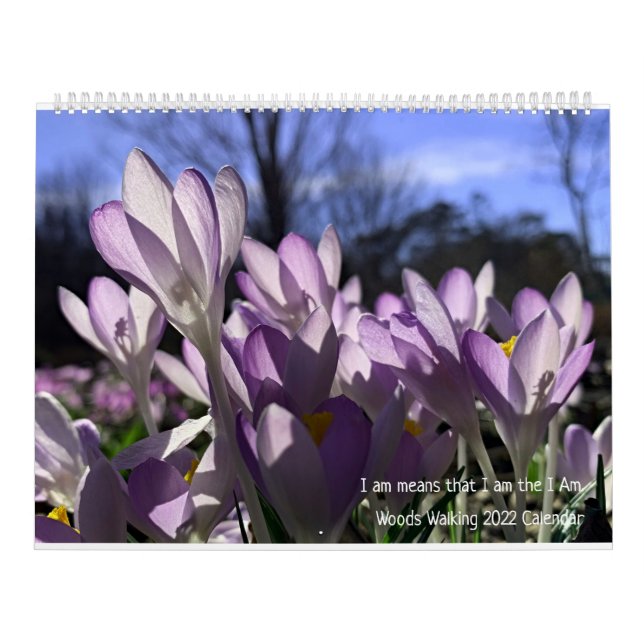 Woods Walking 2022 Calendar (Cover)