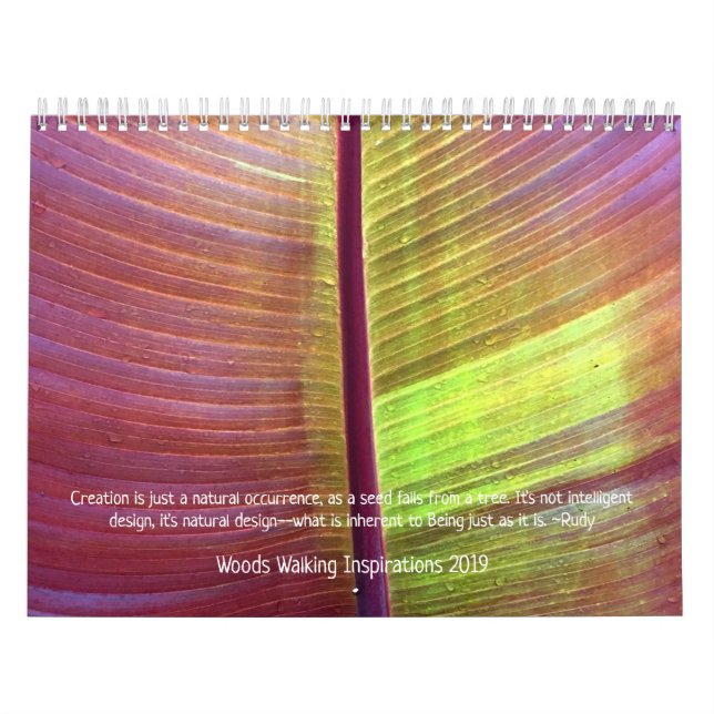 Woods Walking Inspirations 2019 Calendar (Cover)