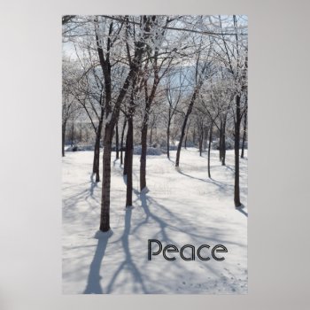 Woods With Rime Nature Poster by bluerabbit at Zazzle