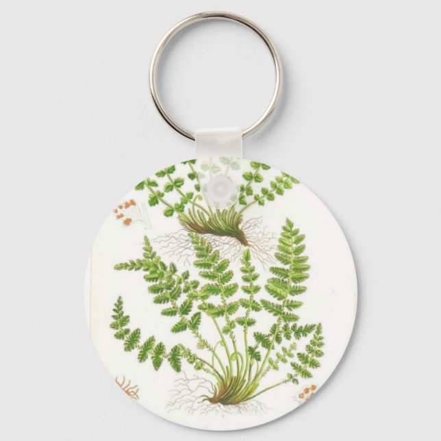 Woodsia Fern Keychain (Front)