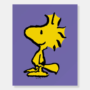 Woodstock Classic Design Foam Board