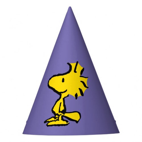 Woodstock Classic Design Party Hat