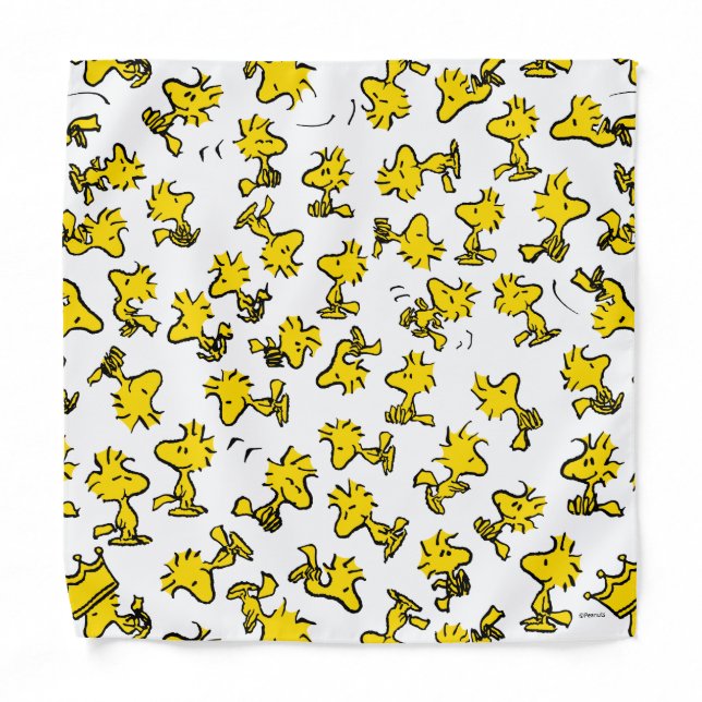Woodstock Classic Design Pattern Bandana (Front)