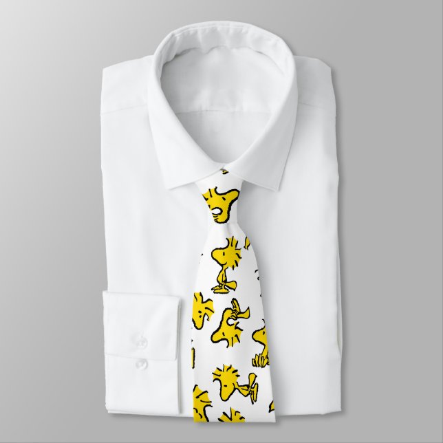 Woodstock Classic Design Pattern Neck Tie (Tied)