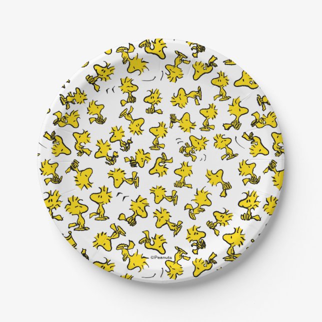Woodstock Classic Design Pattern Paper Plates (Front)