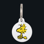 Woodstock Classic Design Pattern Pet ID Tag<br><div class="desc">Take a look at this super cute design featuring Woodstock in a classic pattern.</div>