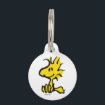 Woodstock Classic Design Pattern Pet ID Tag<br><div class="desc">Take a look at this super cute design featuring Woodstock in a classic pattern.</div>