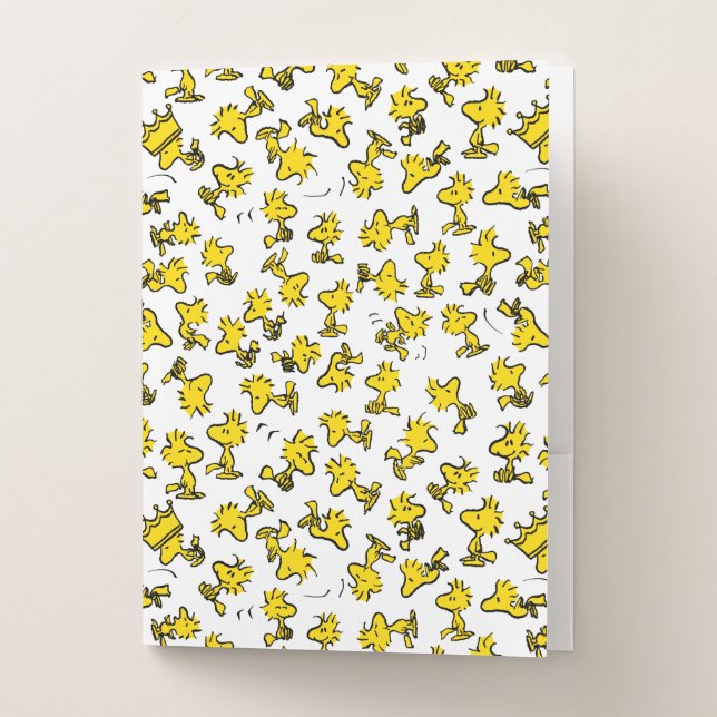 Woodstock Classic Design Pattern Pocket Folder (Front)