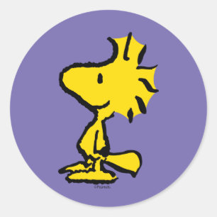 Woodstock Classic Design Round Sticker
