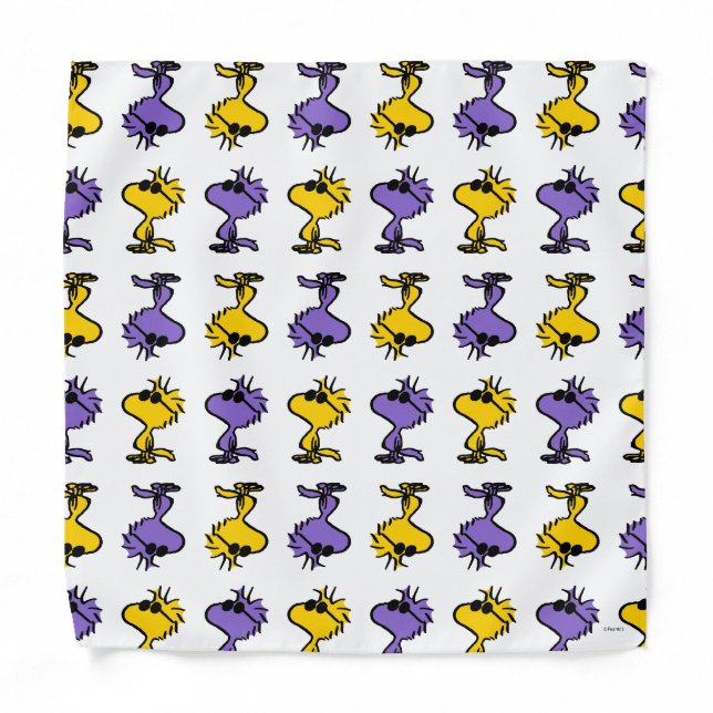 Woodstock Cool Sunglasses Pattern Bandana (Front)