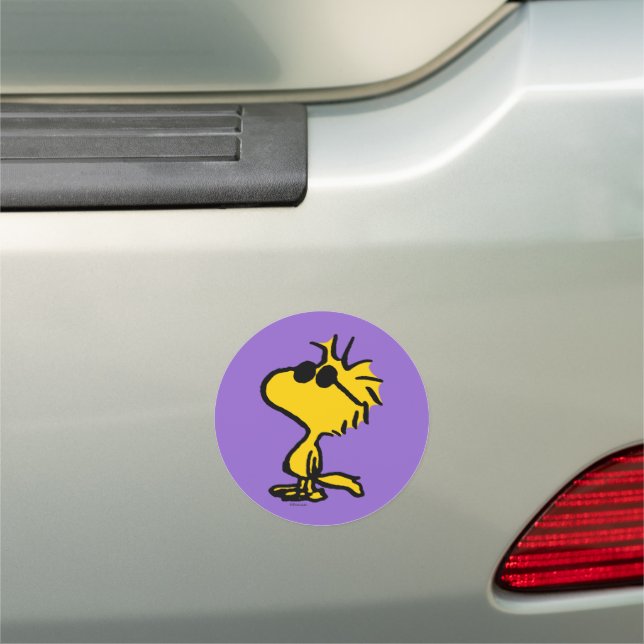 Woodstock Cool Sunglasses Pattern Car Magnet (In Situ)