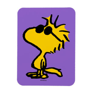 Woodstock Cool Sunglasses Pattern Magnet
