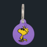 Woodstock Cool Sunglasses Pattern Pet ID Tag<br><div class="desc">Take a look at this super cute design featuring Woodstock wearing cool sunglasses.</div>