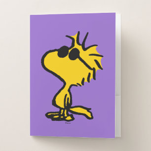 Woodstock Cool Sunglasses Pattern Pocket Folder