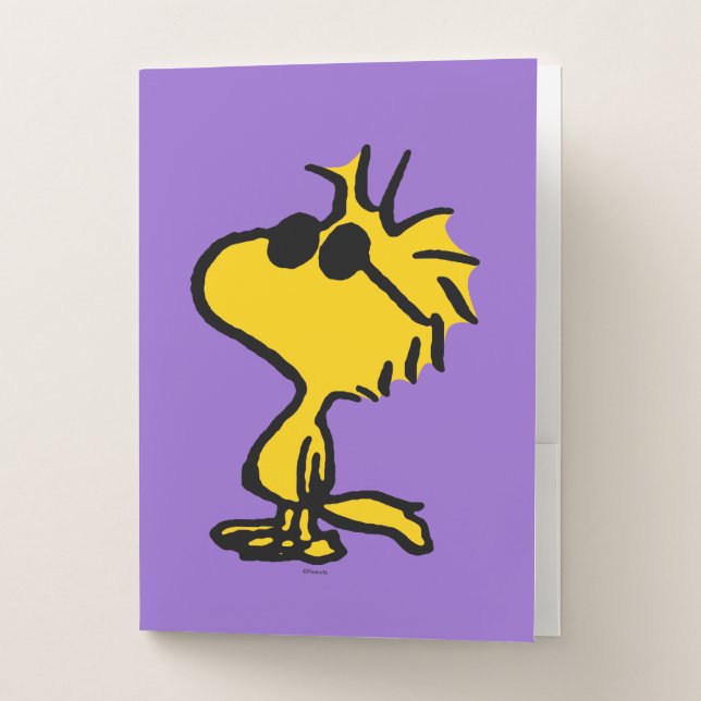 Woodstock Cool Sunglasses Pattern Pocket Folder (Front)