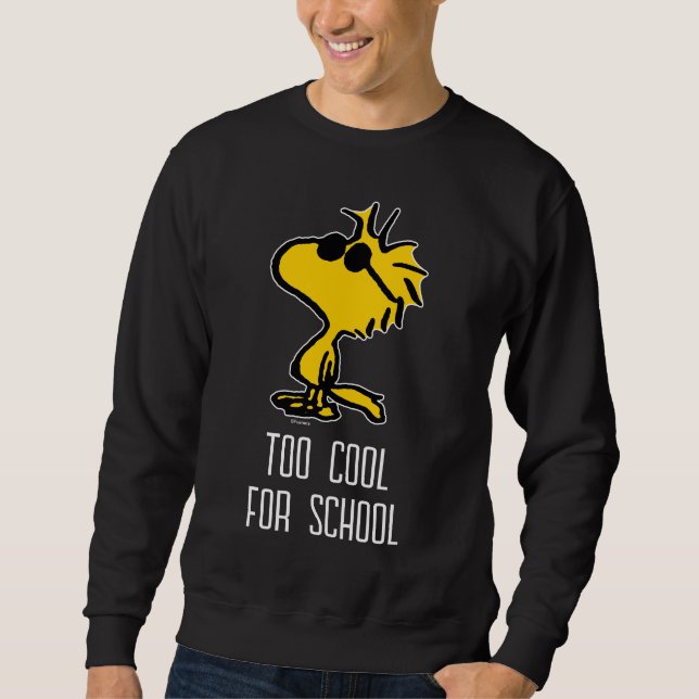 Woodstock Cool Sunglasses Pattern Sweatshirt (Front)