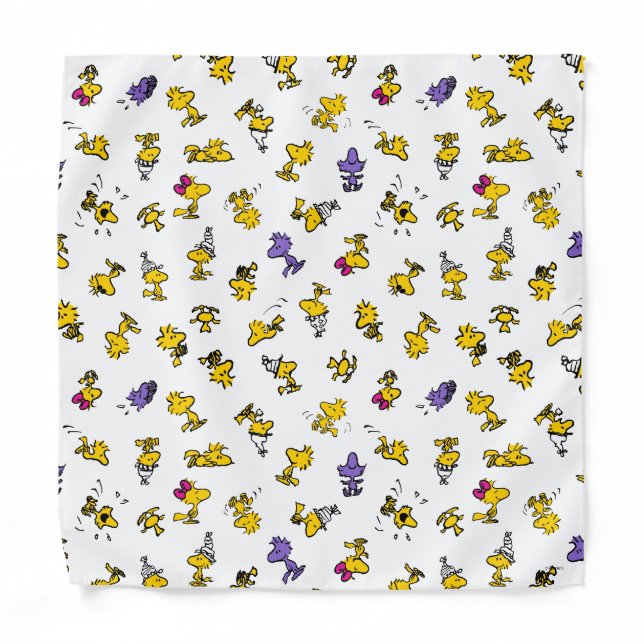 Woodstock Fun Pattern Bandana (Front)
