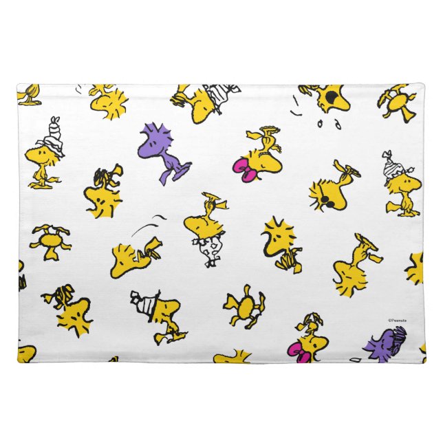 Woodstock Fun Pattern Cloth Placemat (Front)