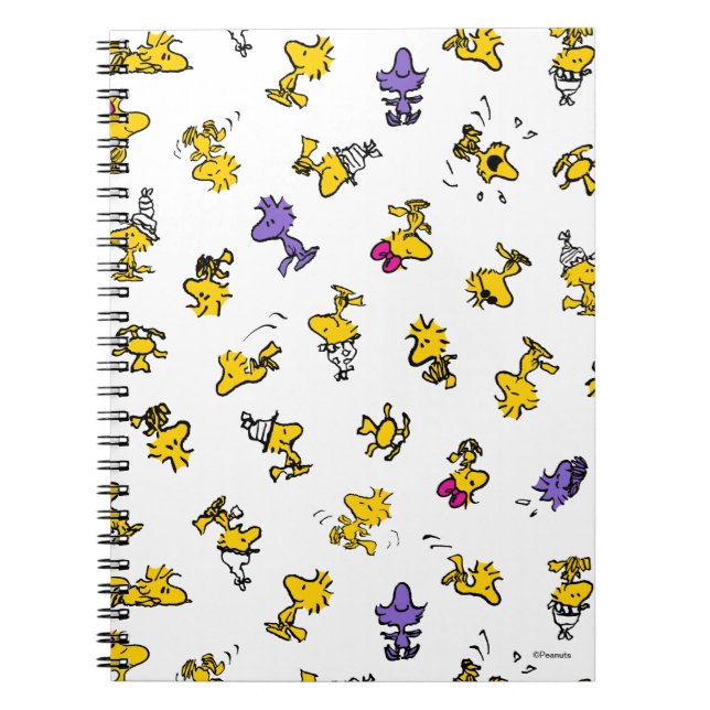 Woodstock Fun Pattern Notebook (Front)