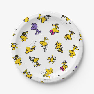 Woodstock Fun Pattern Paper Plates