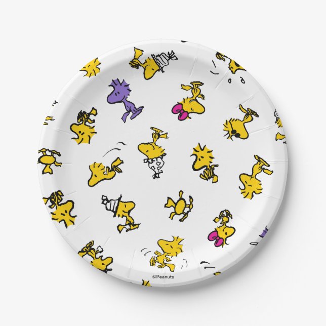 Woodstock Fun Pattern Paper Plates (Front)
