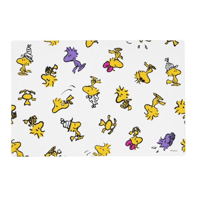 Woodstock Fun Pattern Placemat (Front)