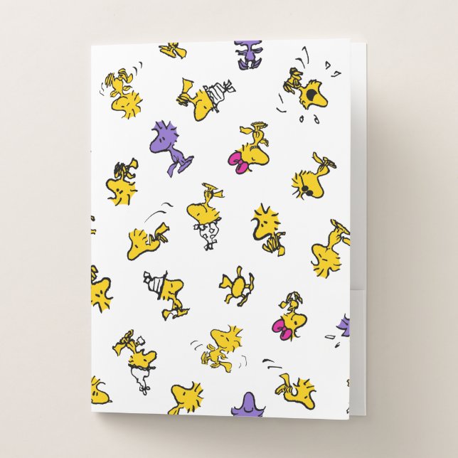 Woodstock Fun Pattern Pocket Folder (Front)