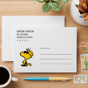 Woodstock In Sunglasses Envelope