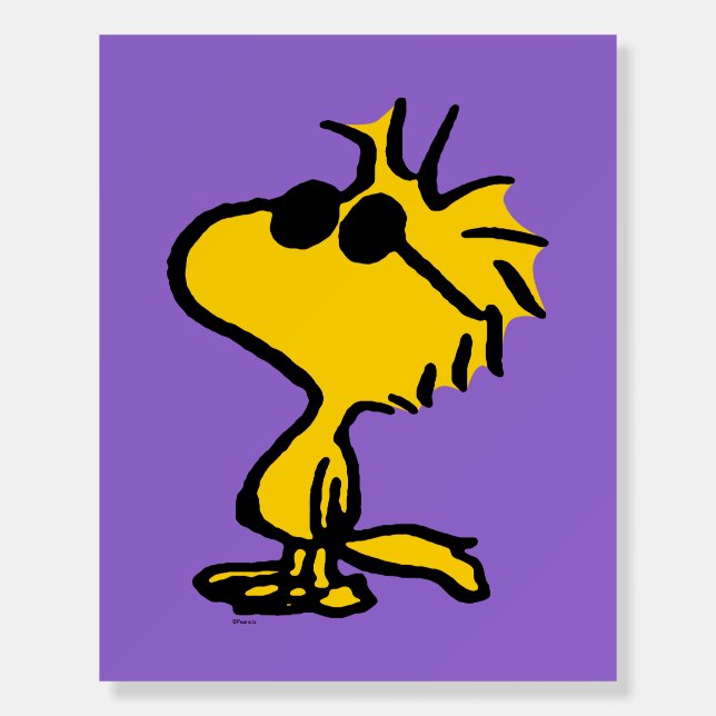 Woodstock In Sunglasses Foam Board (Front)