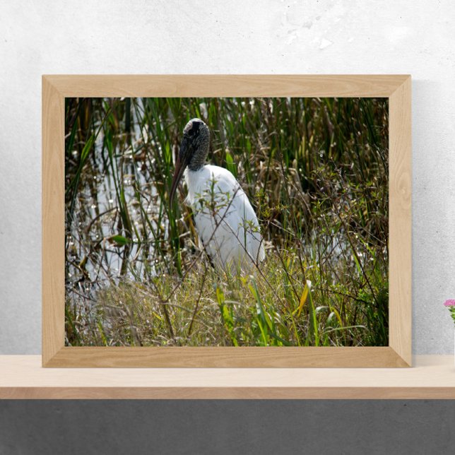 Woodstork at Viera Wetlands Florida Photograph Poster (A poster of a wood stork enjoying some time in a marsh in Florida on a sunny day)
