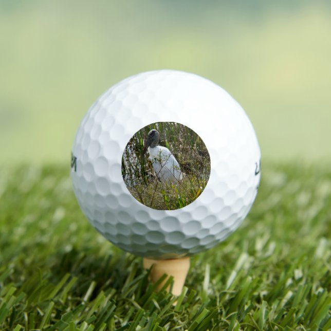 Woodstork Florida Wetlands Photo Golf Balls (Insitu Tee)