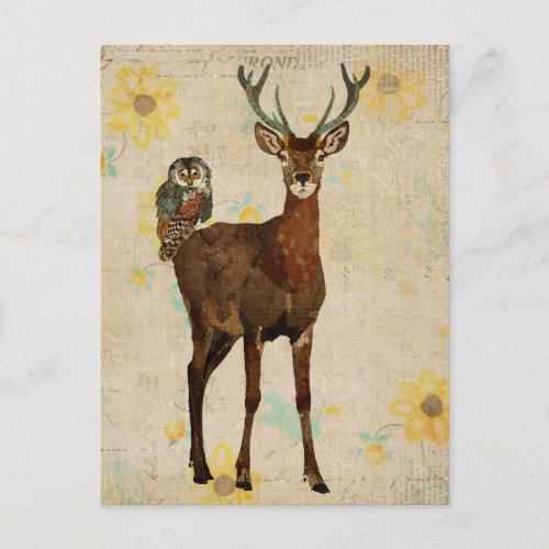 Woodsy Elk  Teal Owl Postcard