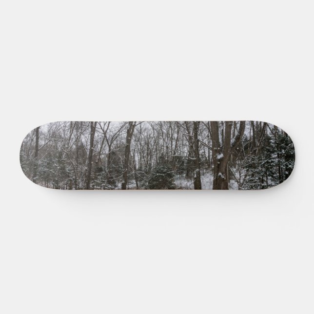 Woody Snow Day Skateboard (Horz)