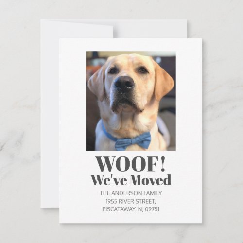 Woof Weve Moved Pet Dog Golden Retriever Name Announcement
