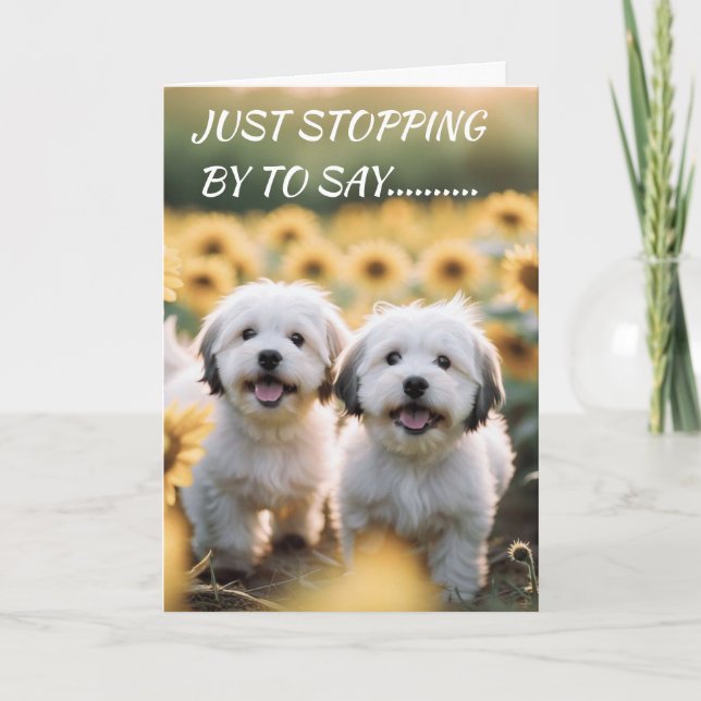WOOF WOOF MEANS "HAPPY BIRTHDAY" CARD (Front)