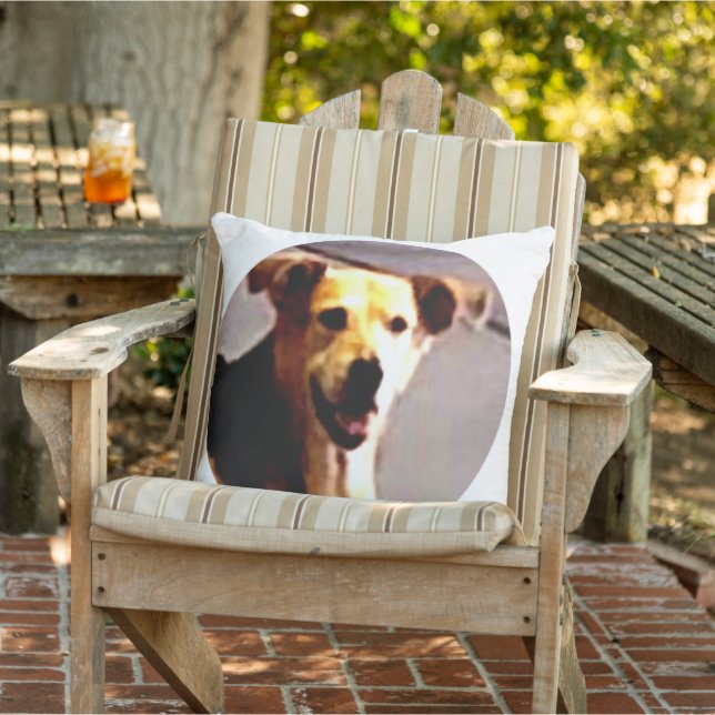 Woofs N' Wags  Outdoor Pillow (Chair)