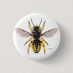 wool carder bee button