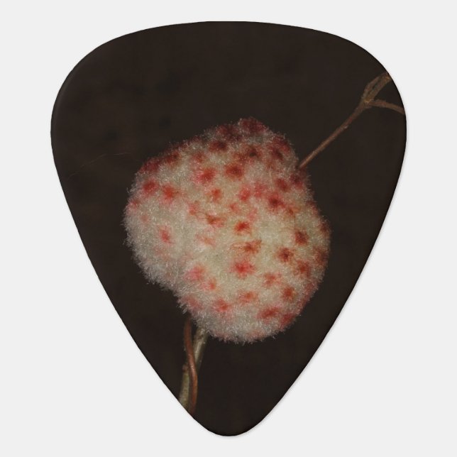 Wool Sower Gall Guitar Pick (Front)
