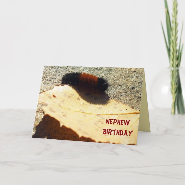 Woolly Bear Caterpillar Card (Front)