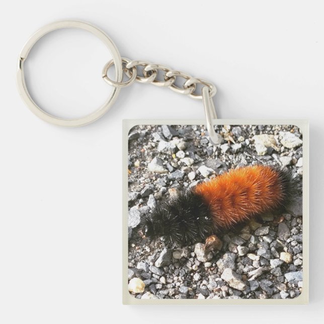 Woolly Bear Caterpillar Keychain (Front)