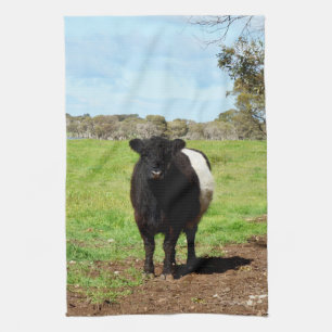 Woolly Black And White Galloway Cow, Kitchen Towel