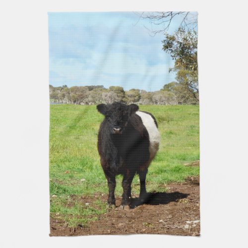 Woolly Black And White Galloway Cow Kitchen Towel