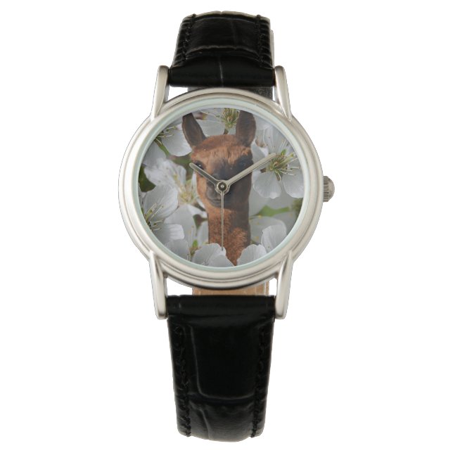 Woolly Brown Young Alpaca, Watch (Front)